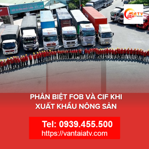 Phân biệt FOB và CIF khi xuất khẩu nông sản: Hiểu rõ để tối ưu hóa lợi ích